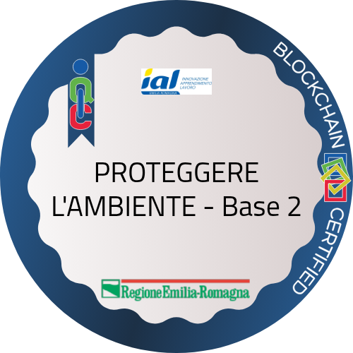 Badge pubblico 83513